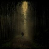 Deep Forest Sounds