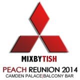 Mixed By Tish Peach Balcony Mini Mix