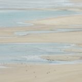 Back From The Water's Edge