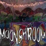 Moonshroom - Energy Of Mechanics