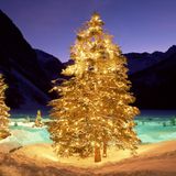 New Year Mix