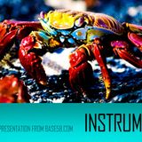 Ghost Food's 00-09 Instrumentals Part 2