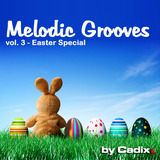 Melodic Grooves vol. 3