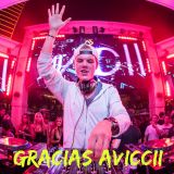 Dj Fabian Hernandez - Gracias avicii