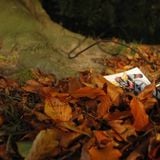 Fayachichou -Autumn 2014- (n°29)
