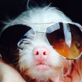 Funky Summer 2014 - Keep on Rollin Baby