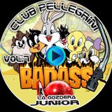 DJ SET CLUB PELLEGRINI VOL.7@JUNIOR STAGE SESSION... BAD ASS DJ AND FRIENDS.... 2.30 HS LIVE SET