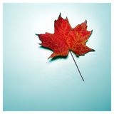 SILO DISKO - Autumn Leave
