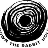 2016-01-19 Down the rabbit hole (feat. Janis Plasmatik)