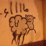 Loulii - HEY MORSI, WHAT DO U WANT ME TO SAY?! :|