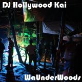 DJ Hollywood Kai @ We Are Underground We Are In The Woods 13.09.2014