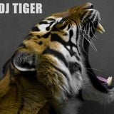 Tiger - Funky Club Mix