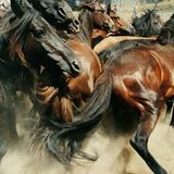 Mix Hardtek Old School - AU GRAND GALOP!