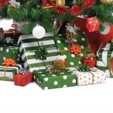 Underneath the Tree