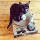 Fête de la musique 2015 - Jungle Café - Saint Pierre