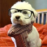 Never trust a Hipster