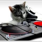 Digital Visions 80's Dance Mix - Live Online Broadcast (10-19-13)