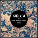Saku V.VI (Electro & Progressive House Mix)