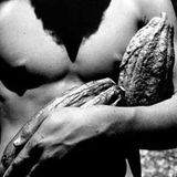 Pandemiya - Cacao (march 2011)