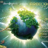 Dj set played at FREEDOM FESTIVAL : ONE WEEK-END IN PARIS