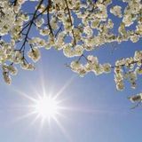 Mr. Jota - Spring Promo Minimix