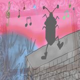 Patrick Akutakustik "Auf Der Mauer Auf Der Lauer"