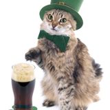 Folk & Acoustic Podcast 11: St Patrick's Day Special