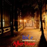 After Hour Vol. 2