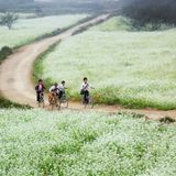 Mộc Châu - những cung đường cảm xúc