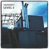 Level 3