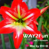 Way2Fun Mix vol.1 Rework