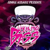 Weshokids _ Mix Breaking Bass # 2