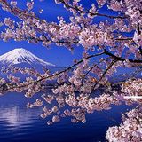 Aman 2016/4/3