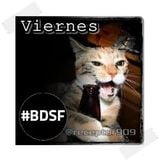BDSF (11-01-13) Viernes Casual