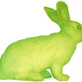 " Green rabbit " session
