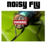 How Did I End Up Here? (Noisy Fly into Drum 'n' Bass paths)
