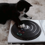 Electric Relaxation Mixtape VOL2 by Daniel Drumz