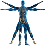 Radio Stradbroke 18/11/15 - Body Part 1