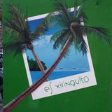 12.06.2015...EL MOLINO GOES TO...ES XIRINGUITO...mixed by barri