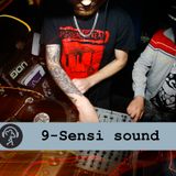 9-Sensi Sound