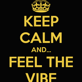 DJ Romie Rome - Feel The Vibe, Vol. 11