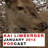Kai Limberger January Podcast 2013