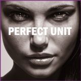 AMBIENT DOWNTEMPO - "Perfect Unit"