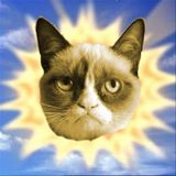 April Promo: Springtime Cat