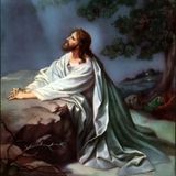Sorrowful Mysteries at the St. Charles Borremeo Catholic Parish Lenten Mission 2015
