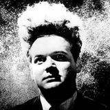 THE SHELTER #31 - LYNCH