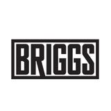 BRIGGS Opening Set for Vibe Street 4-2-16