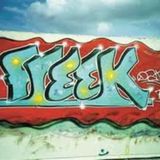 Afterhour tunes im Grünen Sommer 2013 by Freek