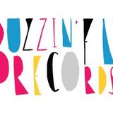 Beaumont's Buzzin' Fly radio mix