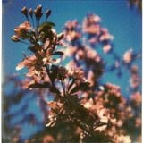 mR_BLACk - Longing For Spring